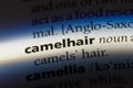 camelhair Royalty Free Stock Photo