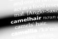 camelhair Royalty Free Stock Photo