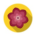 Camelia Flower Flat Icon with shadow