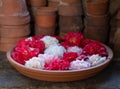 Camelia flowers in shallow bowl with water, amidst terracotta pots, photographed in Chiswick, west London UK.