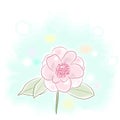 Camellia