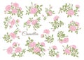 Camellia blossom tree Clip art, set of elements for design