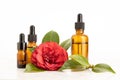 Camellia essential oil. Group of amber bottles and red camellia flower