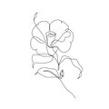 Camellia flower in continuous line drawing style