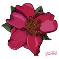 Camellia Flower Realistic Vector illustration Royalty Free Stock Photo