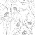 Camellia flowers bouquet with leaves line design drawing. Floral natural seamless pattern texture. Royalty Free Stock Photo