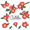 camellia red flower illlustration element vector set