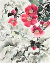 Camellia in the snowy mountains