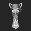 Camelopard, giraffe Cool pirate, seaman, seawolf, sailor, biker animal for tattoo, t-shirt, emblem, badge, logo, patch