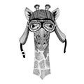 Camelopard, giraffe Hand drawn image of animal wearing motorcycle helmet for t-shirt, tattoo, emblem, badge, logo, patch