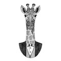 Camelopard, giraffe Hipster animal Hand drawn image for tattoo, emblem, badge, logo, patch Royalty Free Stock Photo