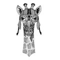 Camelopard, giraffe Wild animal wearing motorcycle, aero helmet. Biker illustration for t-shirt, posters, prints. Royalty Free Stock Photo