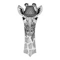 Camelopard, giraffe Wild animal wearing tirol hat Oktoberfest autumn festival Beer fest illustration Bavarian beer