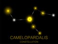 Camelopardalis constellation. Bright yellow stars in the night sky. A cluster of stars in deep space, the universe. Vector