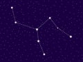 Camelopardalis constellation. Starry night sky. Cluster of stars and galaxies. Deep space. Vector