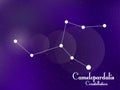 Camelopardalis constellation. Starry night sky. Cluster of stars, galaxy. Deep space. Vector illustration
