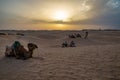 Siluetas de camellos en el desierto del Sahara