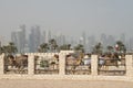 Camels,background towers, palm,sea,Doha,