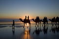 Camels on the Beach, Broome, Western Australia Royalty Free Stock Photo