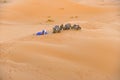 Camels with berber men having rest in Sahara desert Royalty Free Stock Photo