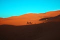 Camels caravan in the desert