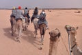Camels caravan going in sahara desert in Tunisia, Africa. Tourists ride the camel safari. Camel caravan going through the sand Royalty Free Stock Photo