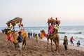 camels with colorful garlands, palanquins and funny hats with tourists in the background