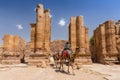 Camels crossing Themenos Gate and colonnaded street in Petra, Jordan