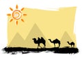 Camels in the desert