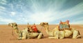 Camels in desert Royalty Free Stock Photo