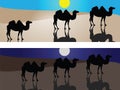Camels in desert Royalty Free Stock Photo