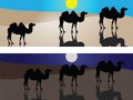 Camels in desert Royalty Free Stock Photo