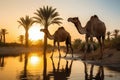 Camels in desert oasis at sunset. Amazing African Wildlife. Generative Ai