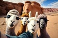 Camels in the desert of Wadi Rum, Jordan. Travel concept