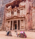 Camels in front of the Al Khazneh temple (The Treasury) in the ancient city Petra, Jord Royalty Free Stock Photo