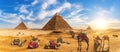 Camels by the Great Pyramids of Egypt, Giza, Cairo Royalty Free Stock Photo