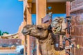 Camels held in captivity in a cage in the camel market of Al Ain. Camels are mainly used for transportation and for