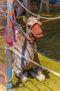 Camels held in captivity in a cage in the camel market of Al Ain. Camels are mainly used for transportation and for