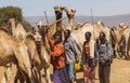 Camels at livestock market. Babile. Ethiopia. Royalty Free Stock Photo