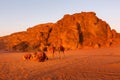 Camels lying down, desert sunset, Wadi Rum, Jordan Royalty Free Stock Photo