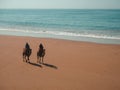 Camels on a Moroccan Beach
