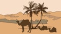 camels and palm tree