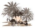 camels and palm tree