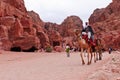 Camels in Petra, Jordan Royalty Free Stock Photo