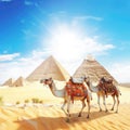 Camels and pyramids in Giza desert, Cairo, Egypt