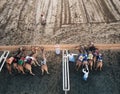 Camels before the race in Al Marmoum, Dubai