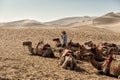 Camels resting at Mingsha sand dunes