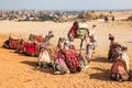 Camels resting near the Egyptian pyramids Royalty Free Stock Photo