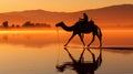 Camels with riders in sunset. Caravan in desert