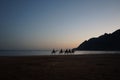 Camels with riders at sunset over the Red Sea in the Gulf of Aqaba. Dahab, South Sinai Governorate, Egypt